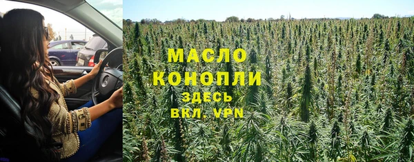 ECSTASY Богданович