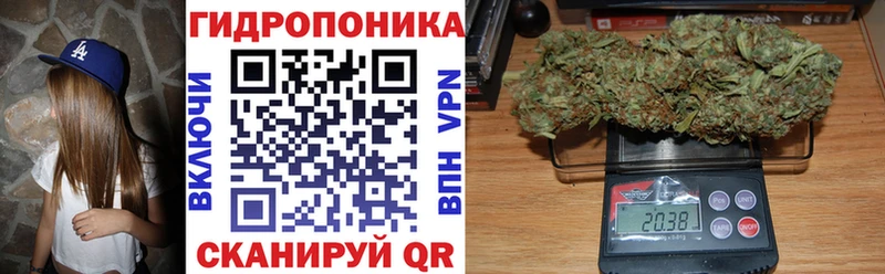 даркнет сайт  Козьмодемьянск  мега ССЫЛКА  это состав  МАРИХУАНА сатива 